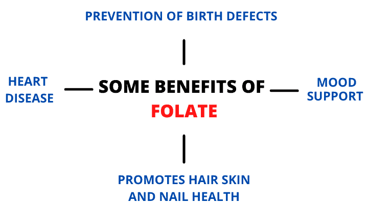 Folate benefits