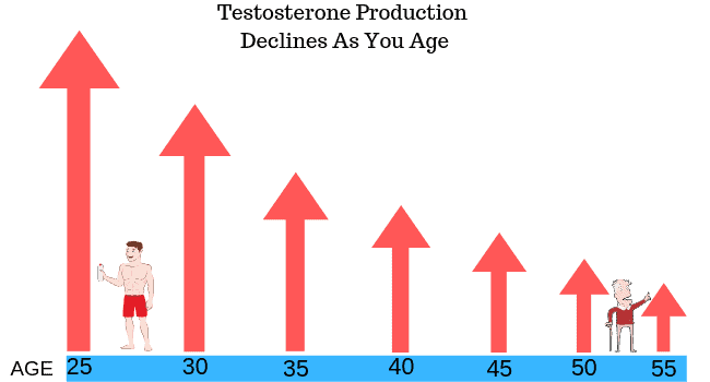 graph of testosterone by age 