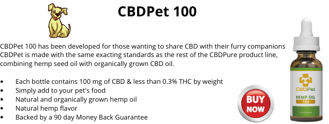 CBD oil pets