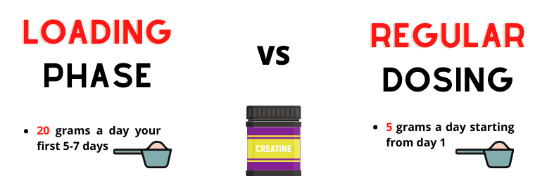 Creatine doses