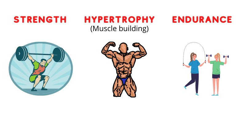 strength and muscle building