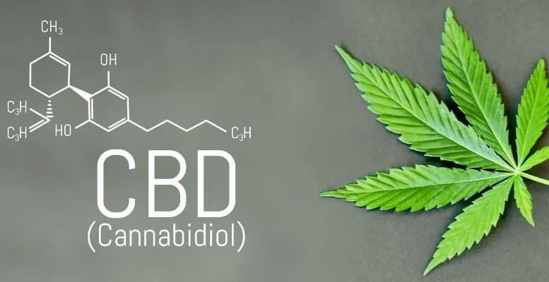 CBD oil plan